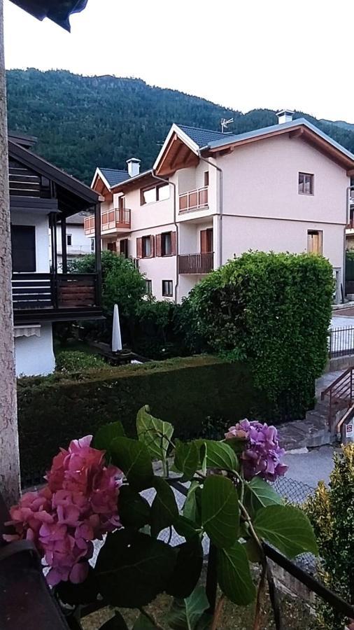 ليفيكو ترمي Green House Nest Levico المظهر الخارجي الصورة